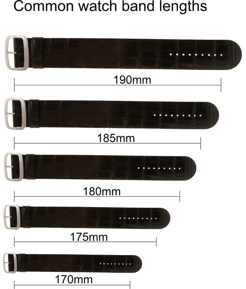 What Size Watch Band Do I Need? Watch Band Measuring Guide WatchRanker