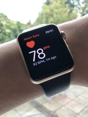 apple watch heart rate