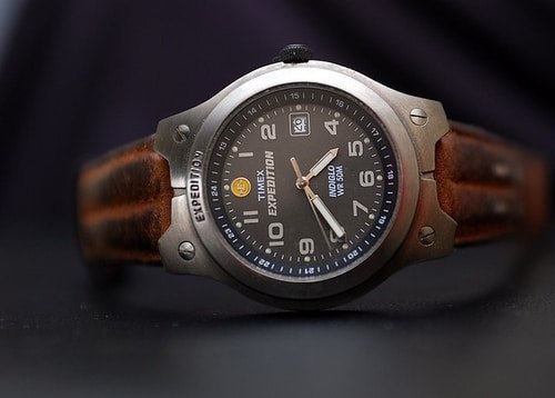 Timex Expedition