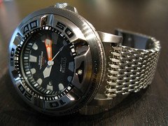 Citizen Ecozilla 300m