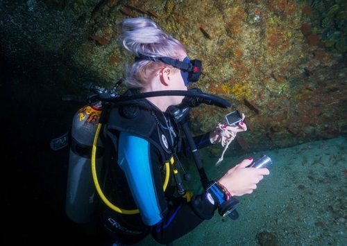 Female Scuba Diver Checking Her Diving Gear
