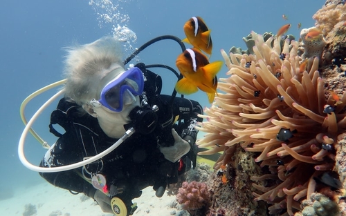 Scuba diver exploring corals while diving