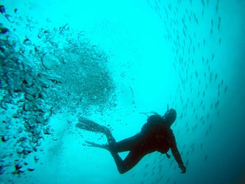 11 Best Dive Watches Under 5000 WatchRanker