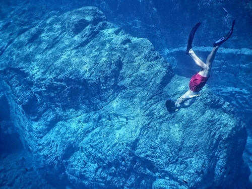Underwater photo of a male diver freediving