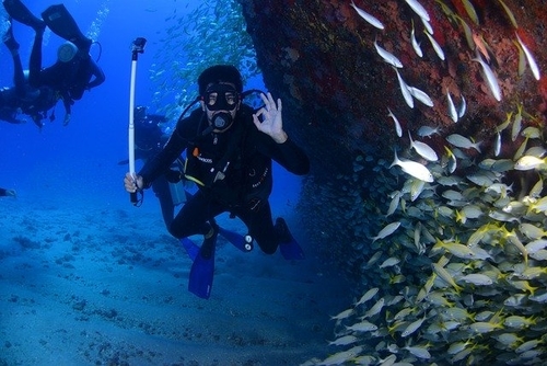 Scuba diver swimming around a shipwreck