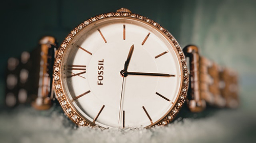 round fossil watch for women