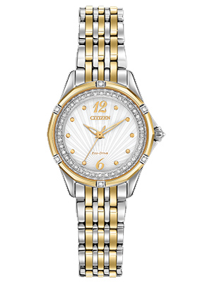 Citizen Versaille